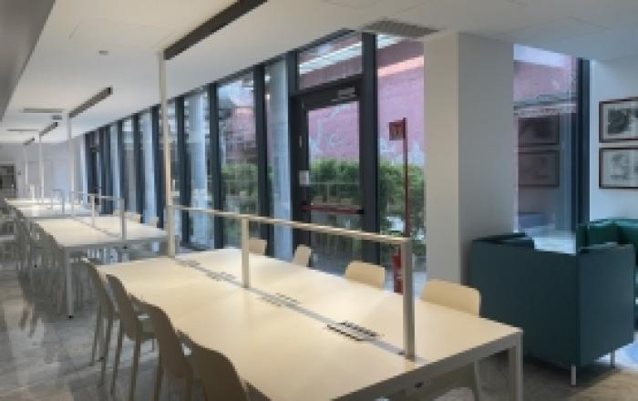 vetrata  sala consultazione 